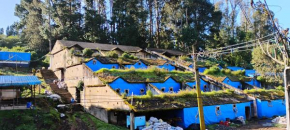 Kmt green house ooty